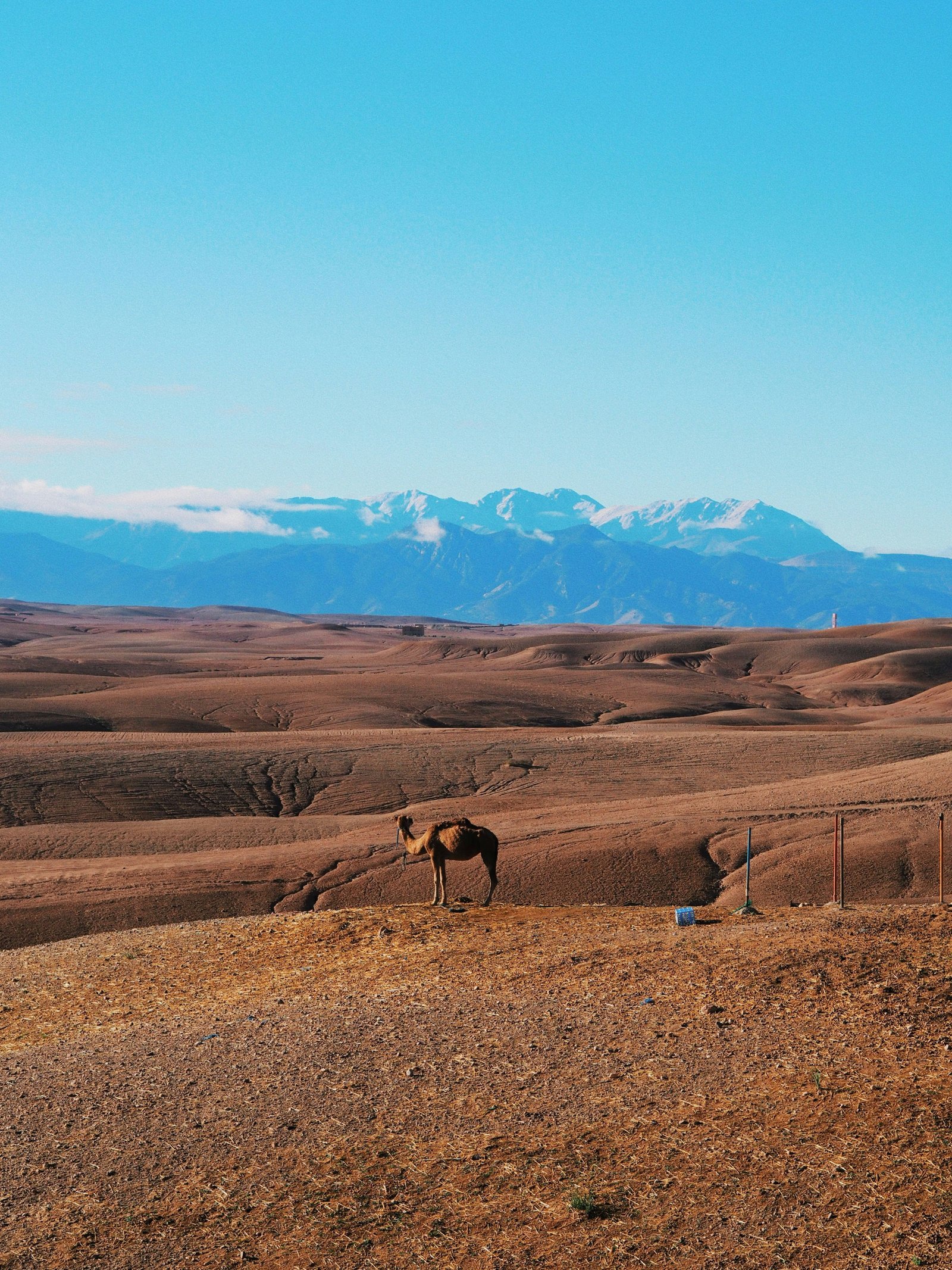 Agafay Desert Loop — gravel route from Marrakech, Morocco
