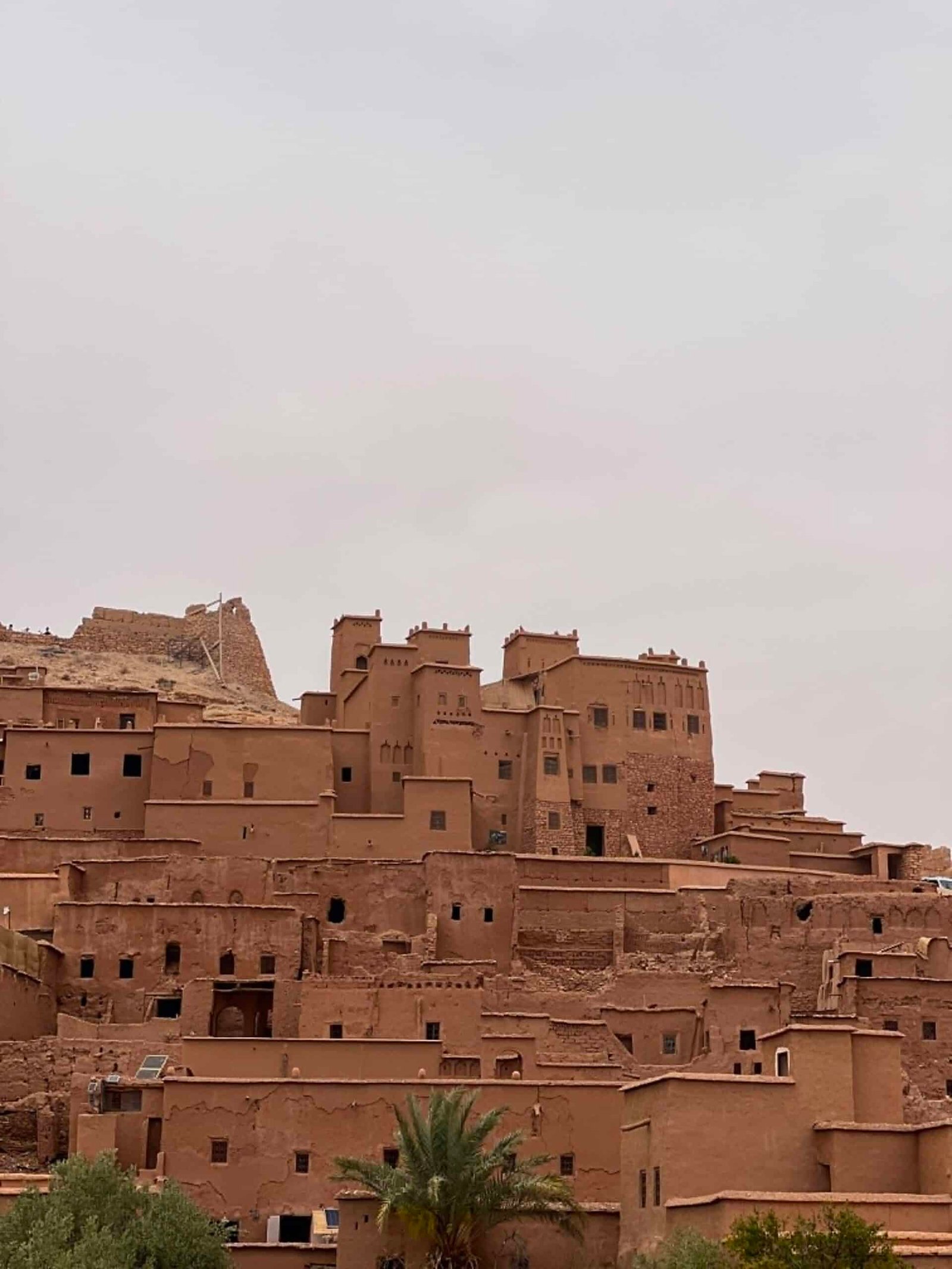 The Ultimate Guide to Exploring Morocco's Living Heritage: An Unforgettable Gravel Bike Tour Through Taroudant Province 1 Cyclist riding through Taroudant Province, exploring Morocco's living heritage among ancient kasbahs, Amazigh villages, and scenic gravel roads