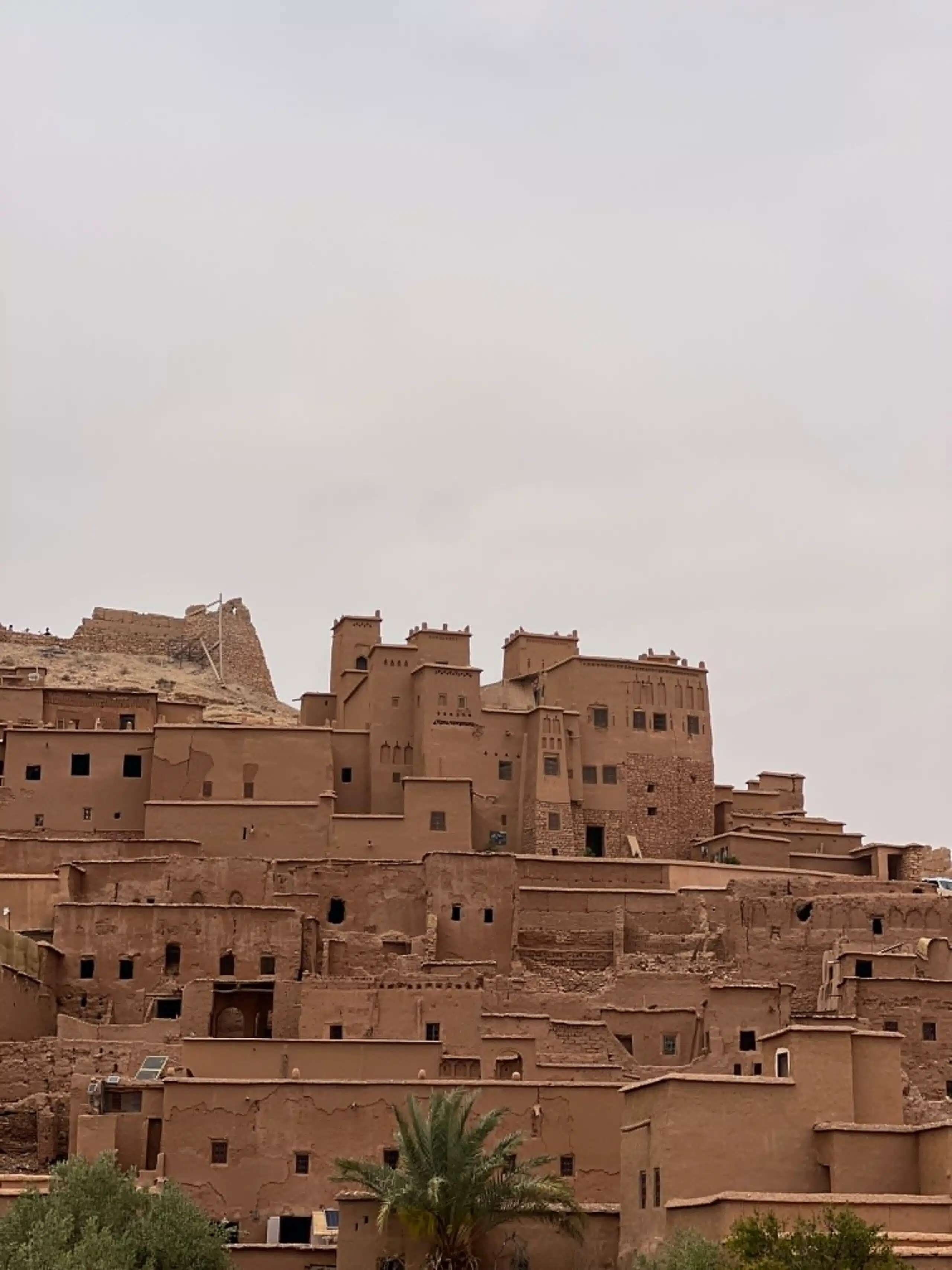The Ultimate Guide to Exploring Morocco's Living Heritage: An Unforgettable Gravel Bike Tour Through Taroudant Province 1 Cyclist riding through Taroudant Province, exploring Morocco's living heritage among ancient kasbahs, Amazigh villages, and scenic gravel roads